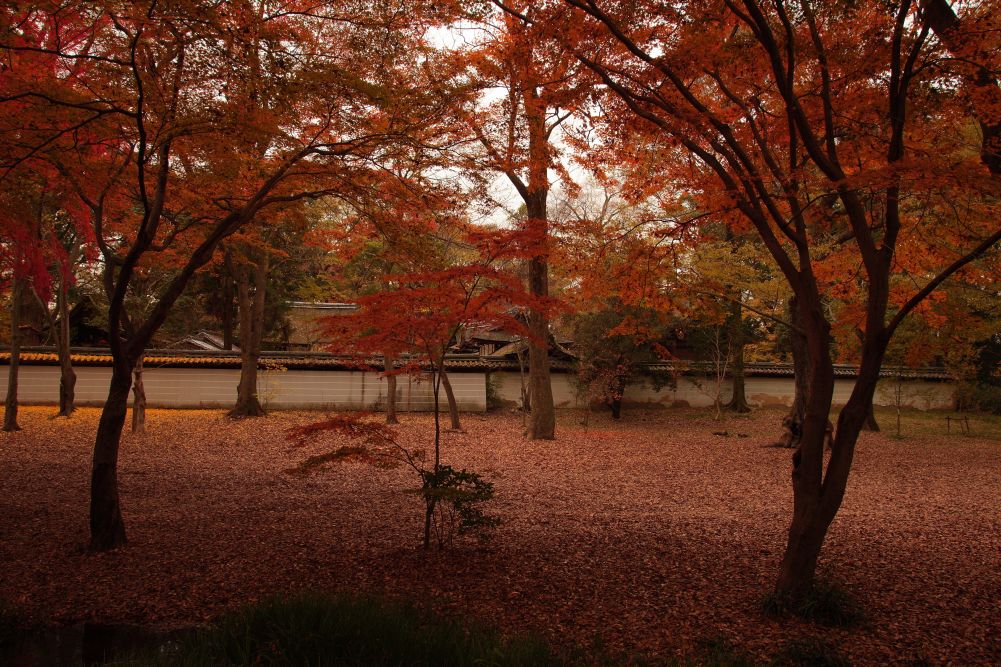 wedding-in-japan